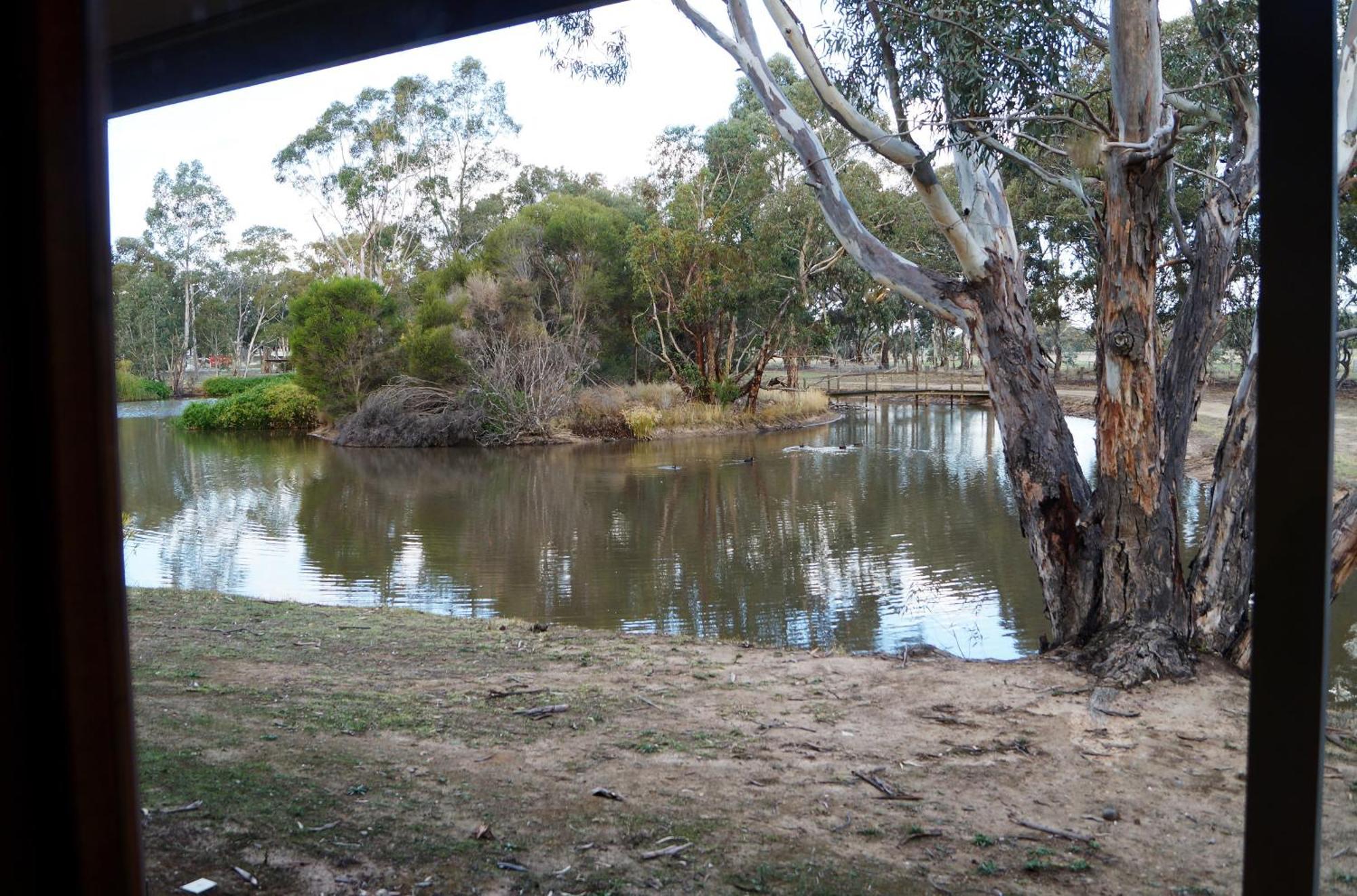 Magdala Motor Lodge & Lakeside Restaurant Stawell Pokoj fotografie