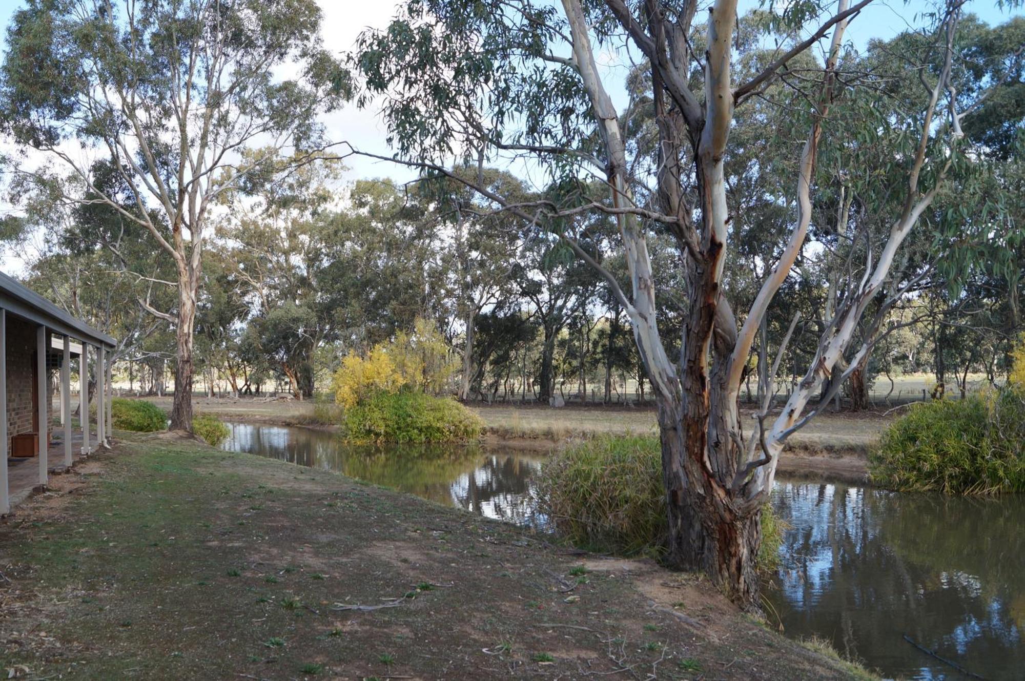 Magdala Motor Lodge & Lakeside Restaurant Stawell Pokoj fotografie